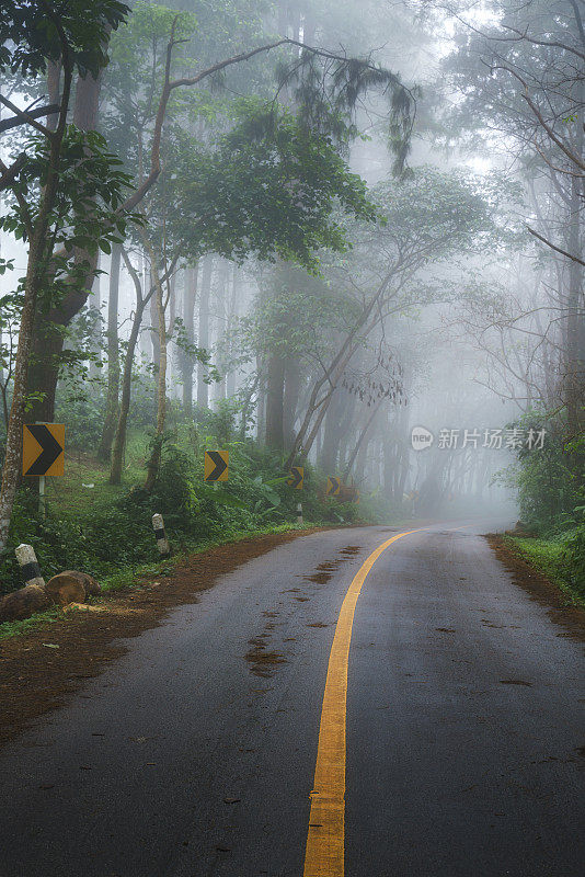 美丽的早晨道路在雾在Doi Pha Hee，清莱，泰国